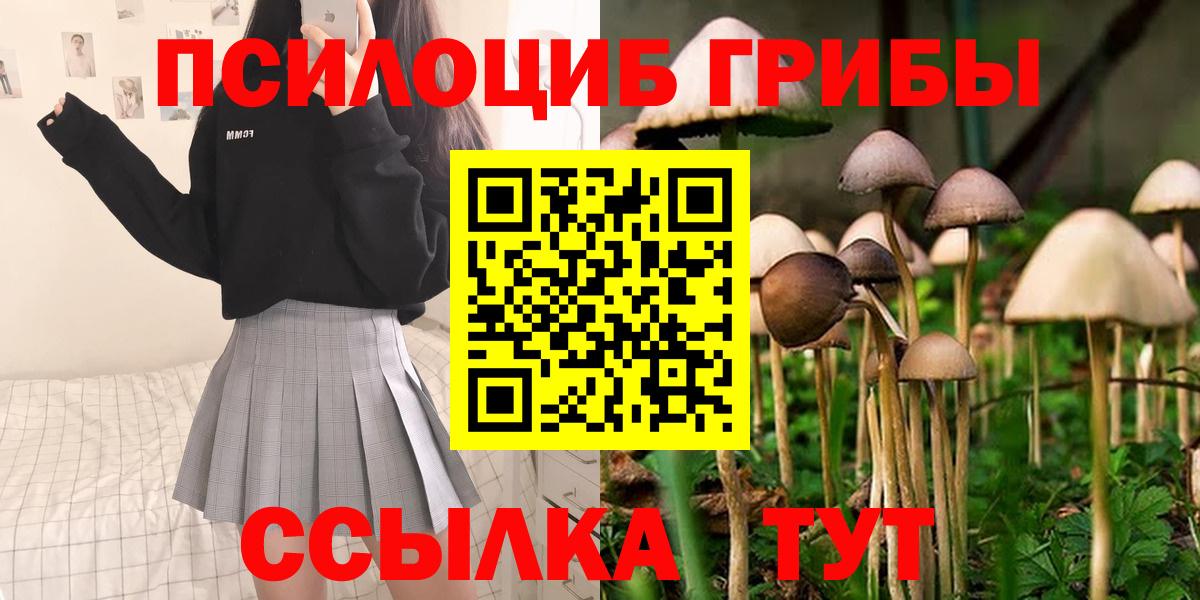 Псилоцибиновые грибы Magic Shrooms  Галлюциногенные грибы MAGIC MUSHROOMS  купить закладку  Павлово  Вход с VPN 