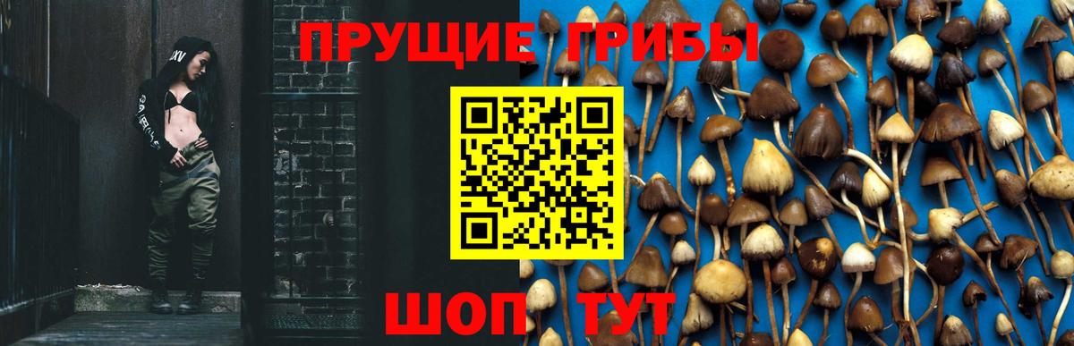 Галлюциногенные грибы Cubensis Павлово