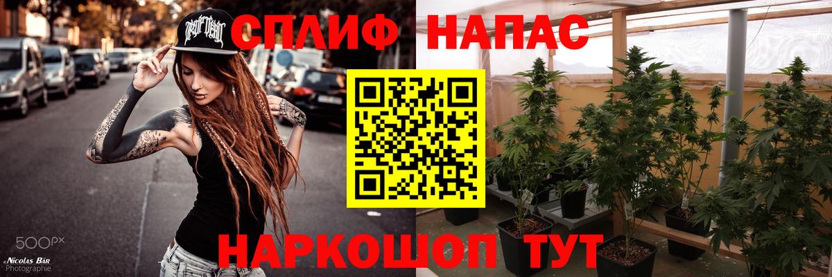 Конопля семена Павлово